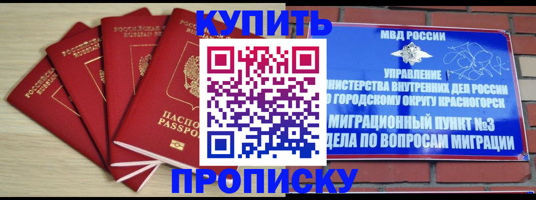 временная регистрация для всех в Тогучине